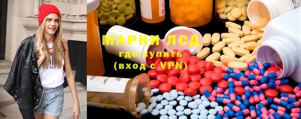 ПСИЛОЦИБИНОВЫЕ ГРИБЫ Белокуриха