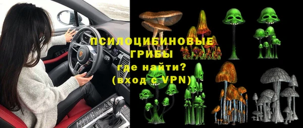 ПСИЛОЦИБИНОВЫЕ ГРИБЫ Белокуриха