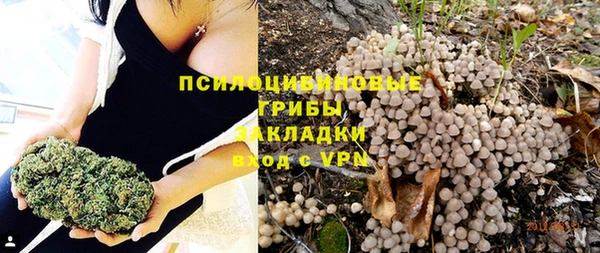 метадон Богородицк