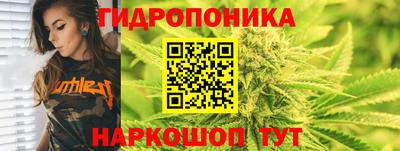 гашик Малоярославец