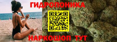 гашик Малоярославец