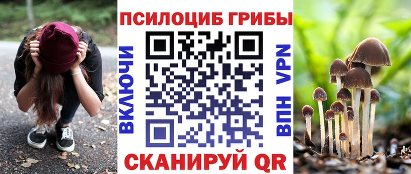 OMG ONION  Губкинский  Псилоцибиновые грибы мухоморы 