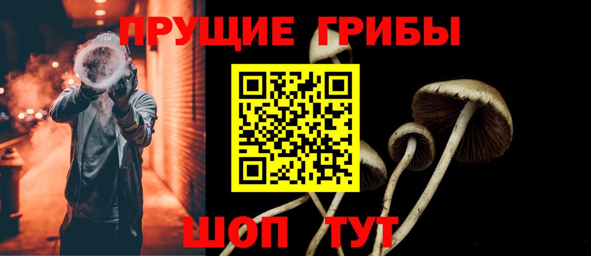 Псилоцибиновые грибы Magic Shrooms  Вход с VPN  Губкинский 