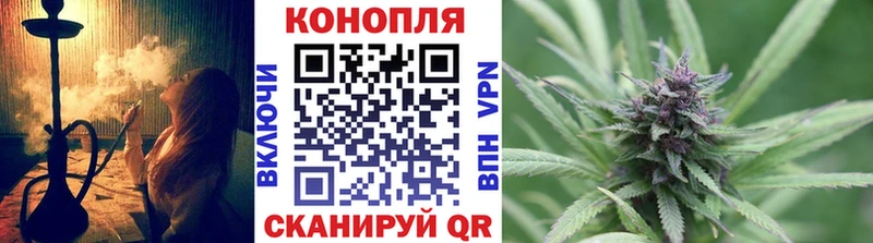 МАРИХУАНА план Губкинский